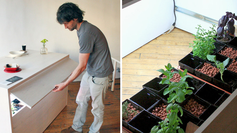 Illustration for article titled Hydroponics Island Lets You Secretly Grow All Kinds of Herbs In Your Kitchen